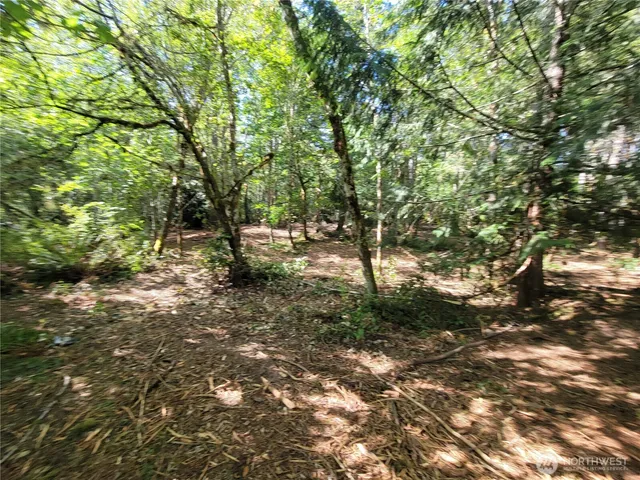 a view of outdoor space and trees