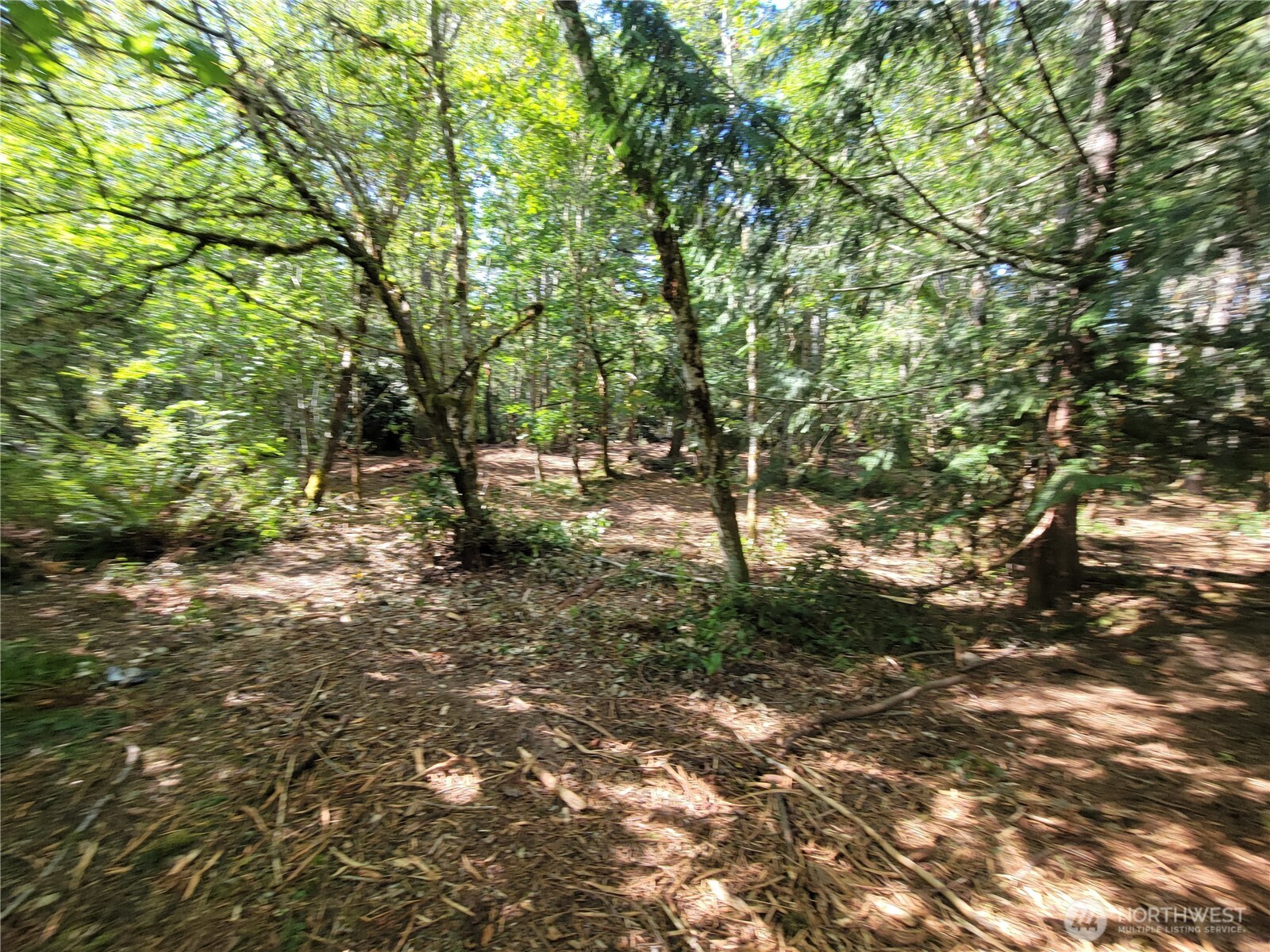 900-930 East Wilson Way Grapeview, WA 98546 - Photo 8 of 27 a view of outdoor space with lots of trees
