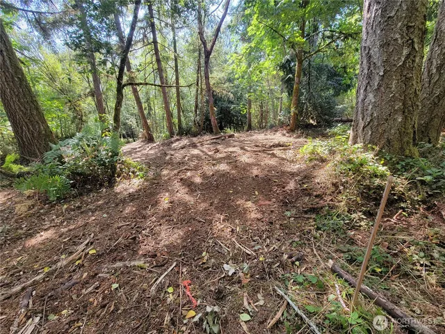 a street sign that is on a tree