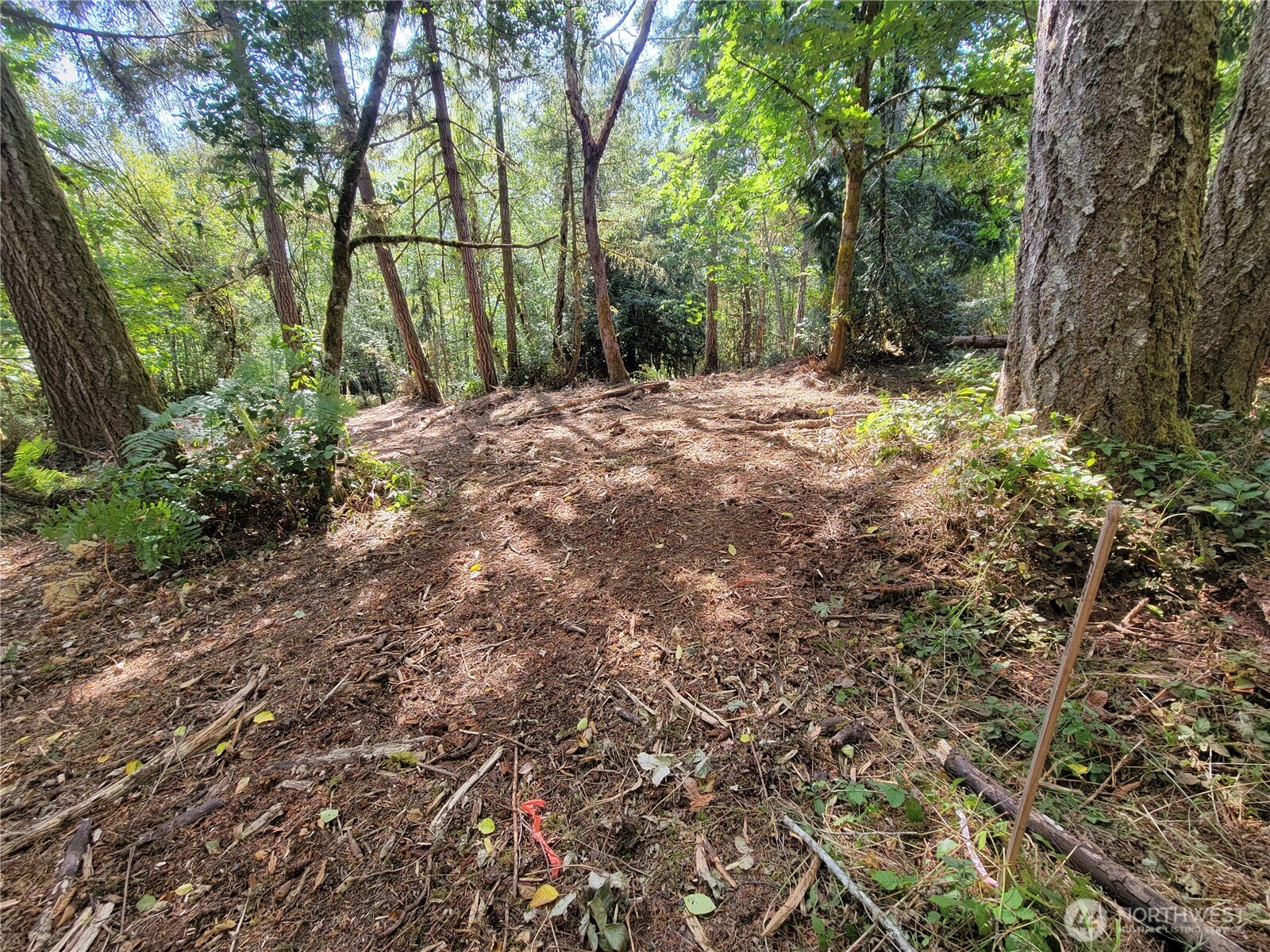 900-930 East Wilson Way Grapeview, WA 98546 - Photo 9 of 27 a view of outdoor space and trees