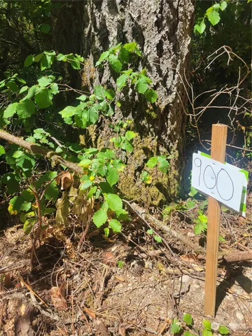 a view of a backyard of the house