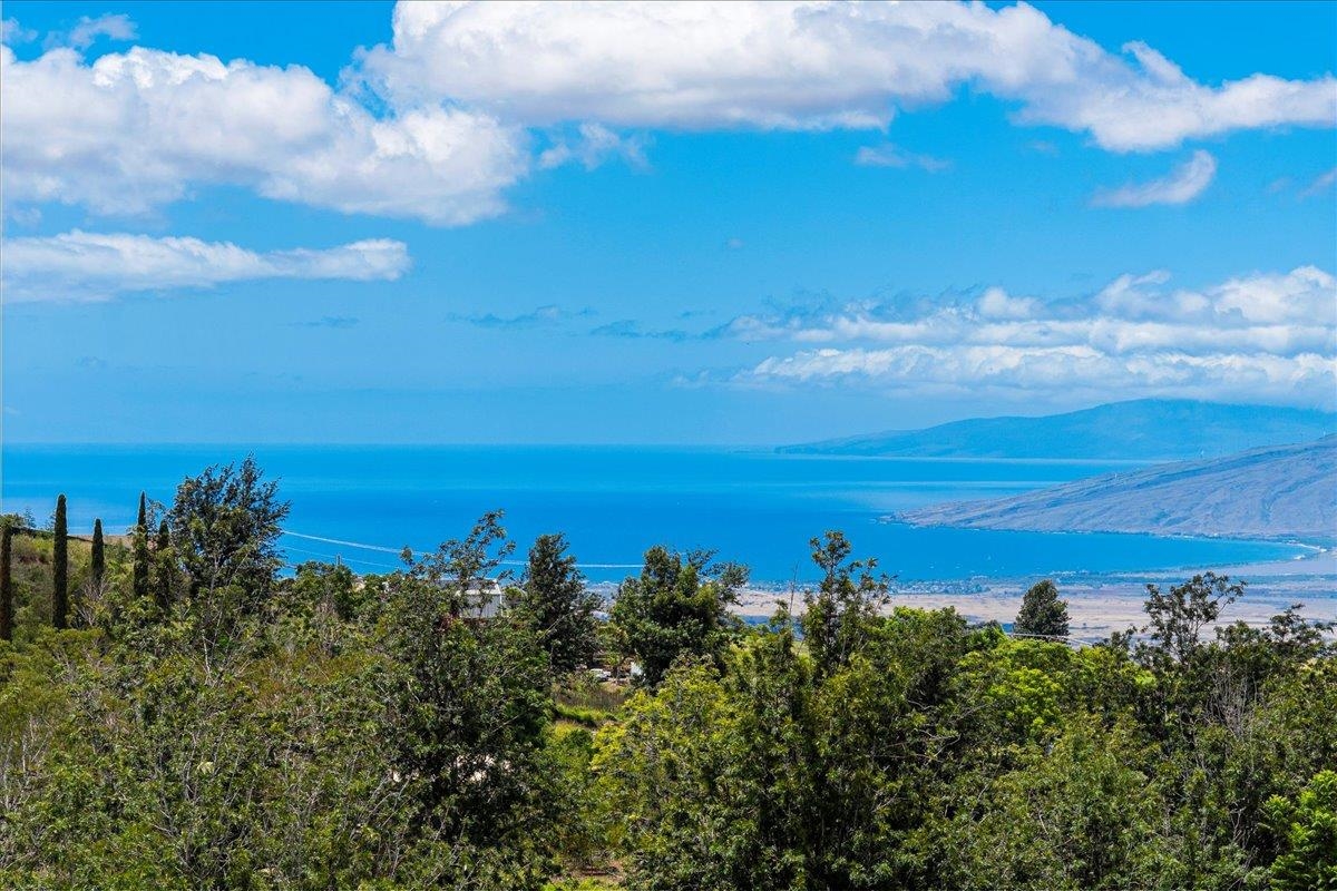 320 Lower Kimo Drive Kula, HI 96790 - Photo 9 of 50