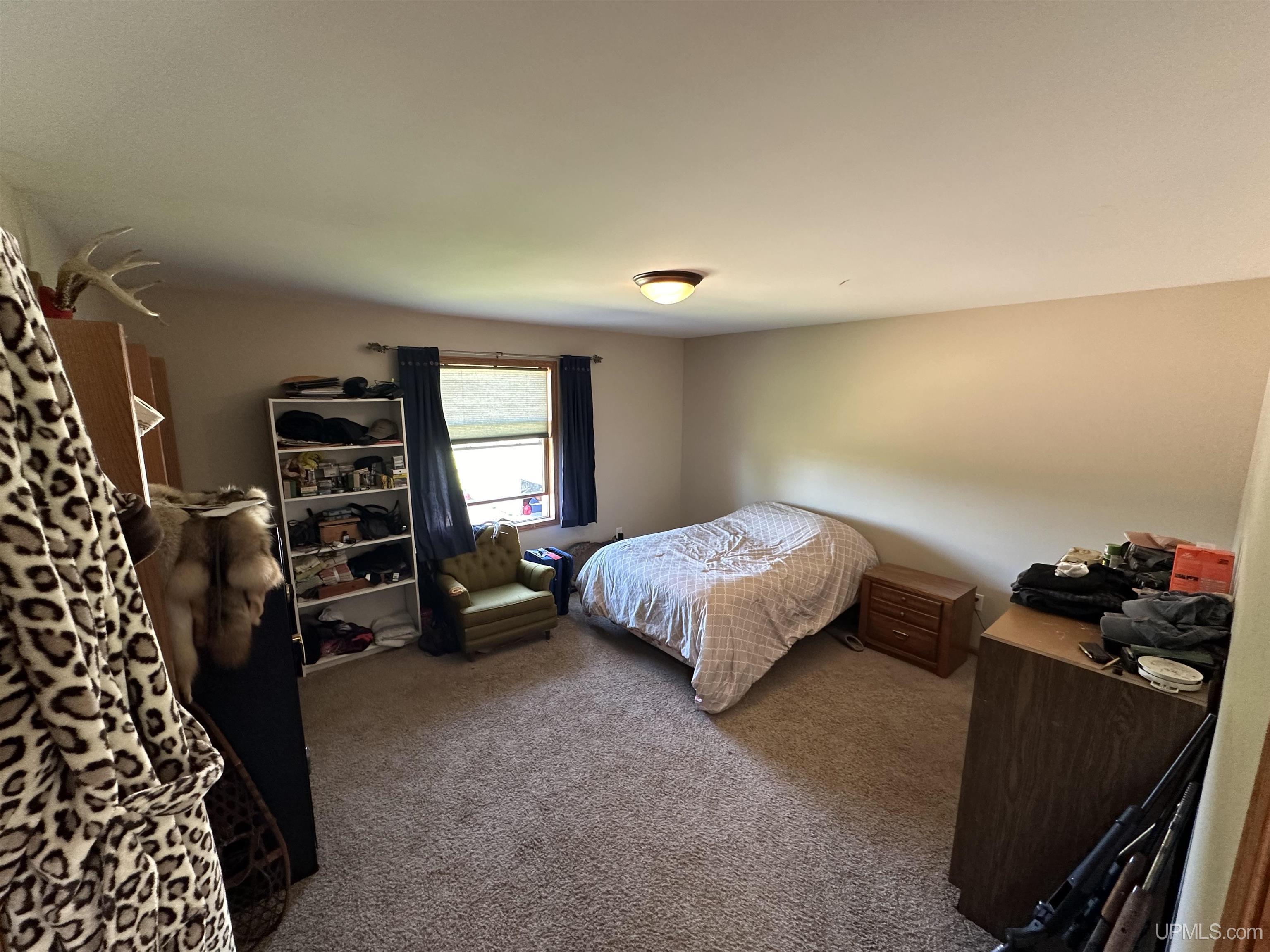 5583 Hallstrom Road Skandia, MI 49885 - Photo 13 of 64