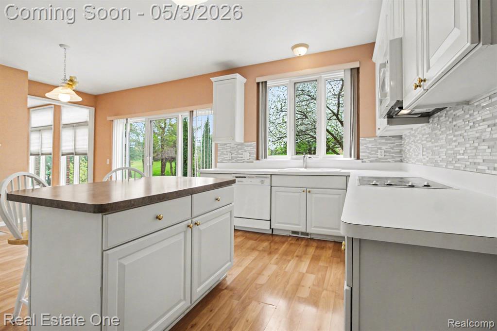 6933 Poppleton Road Canton, MI 48187 - Photo 29 of 60 Gallery Image 29