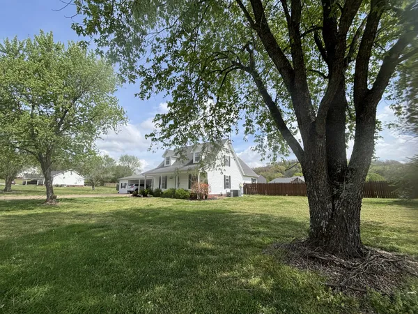 a tall tree in middle of green field