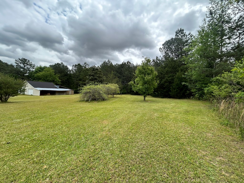 446 Knowles Drive Webb, AL 36376 - Photo 4 of 22