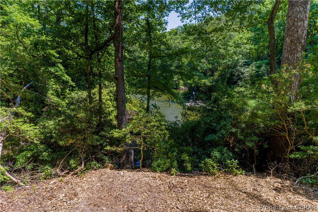 862 Twiggs Ferry Road Hartfield, VA 23071 - Photo 4 of 21