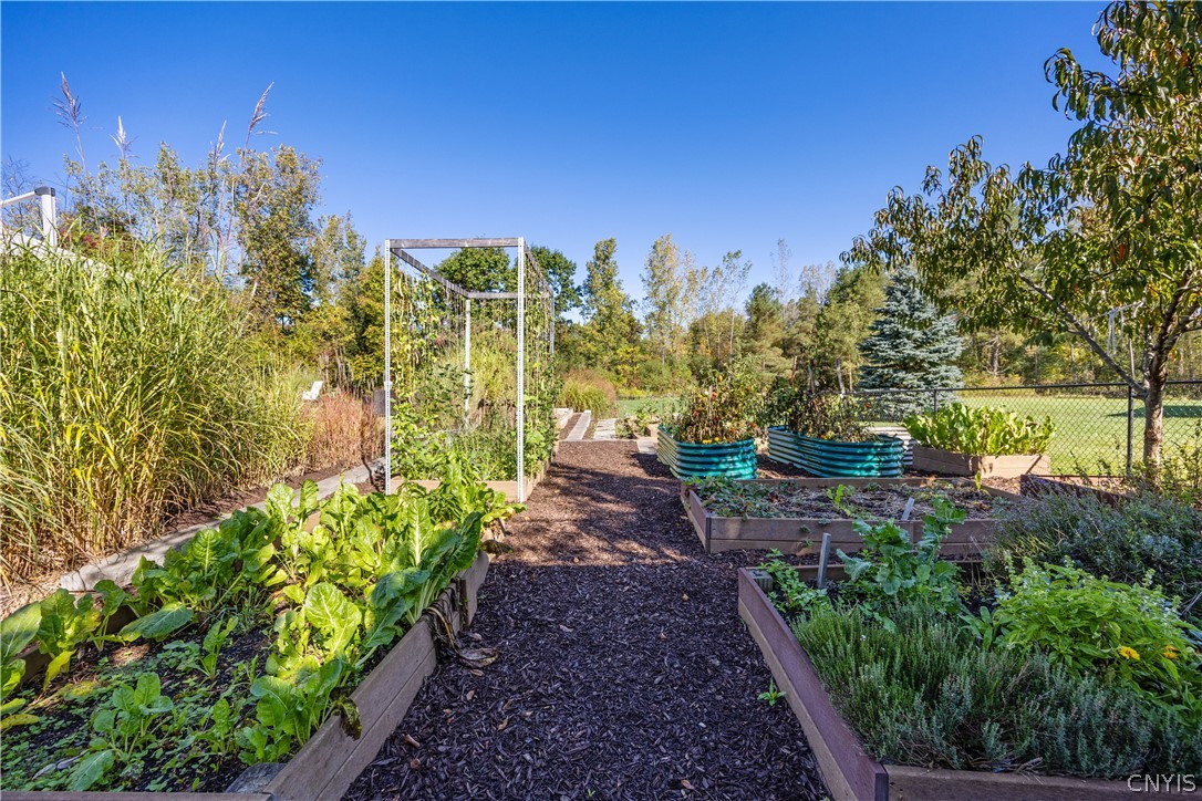 6687 Beach Road Camillus, NY 13209 - Photo 41 of 50 Grow your own....veggies, or whatever!