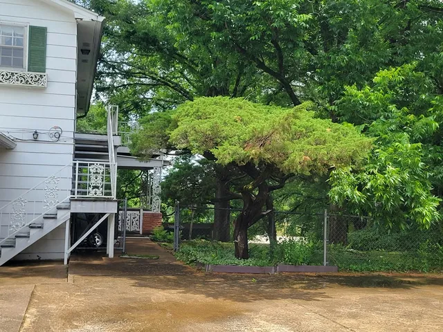 a view of outdoor space and yard