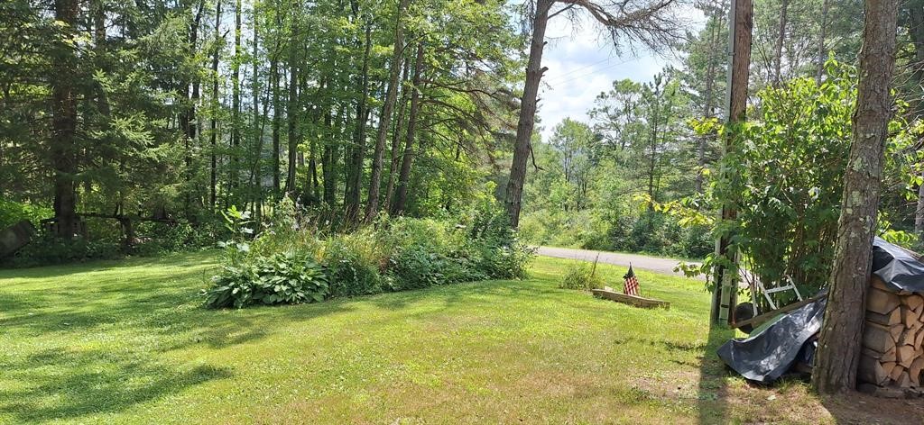 138 McBerney Road Greene, NY 13778 - Photo 24 of 27