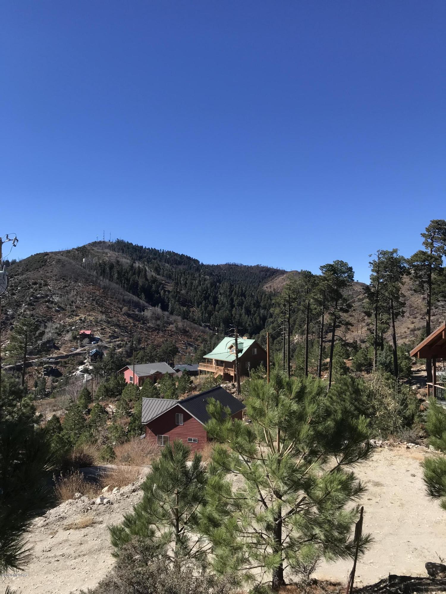 12986 Yuma Road, Unit 4 5 Mount Lemmon, AZ 85619 - Photo 3 of 11