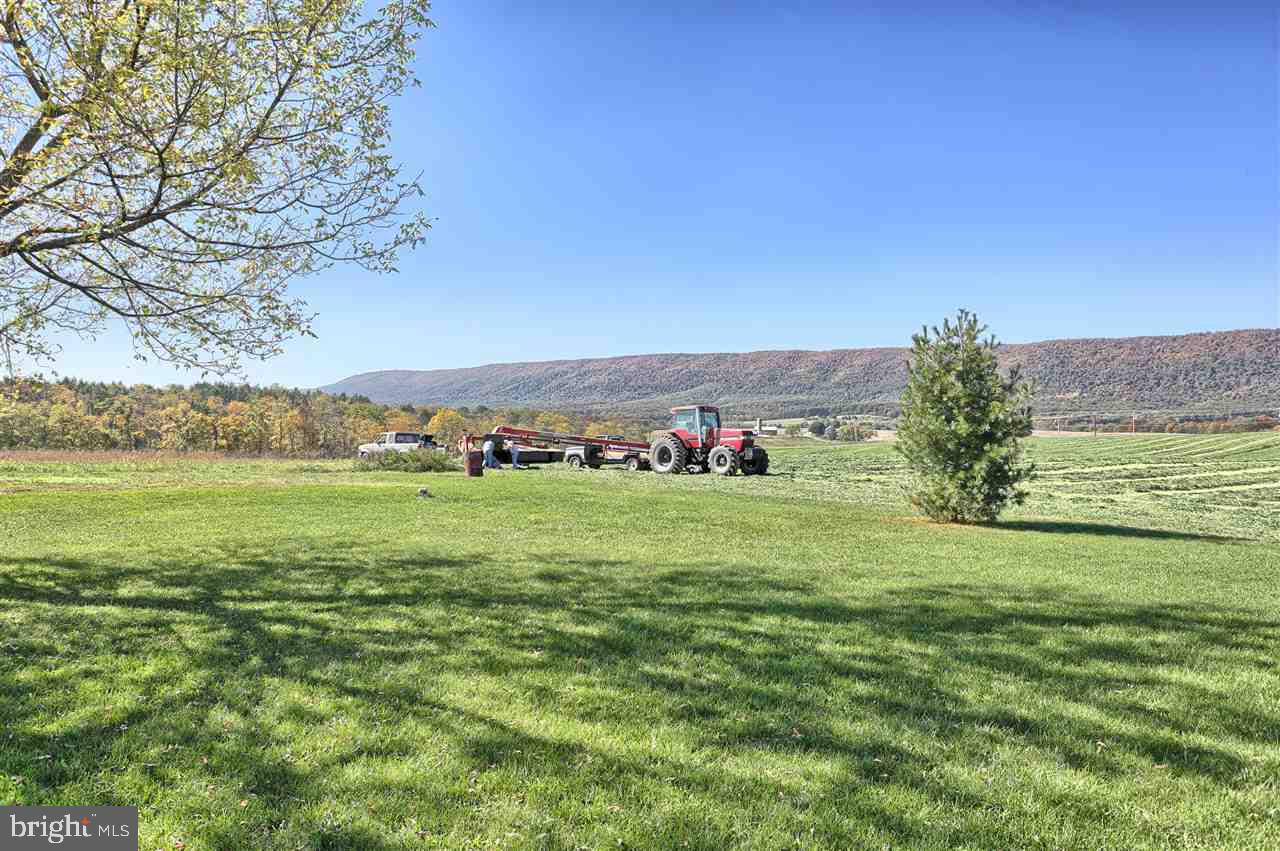 538 Shed Road Newville, PA 17241 - Photo 22 of 25 Gallery Image 22