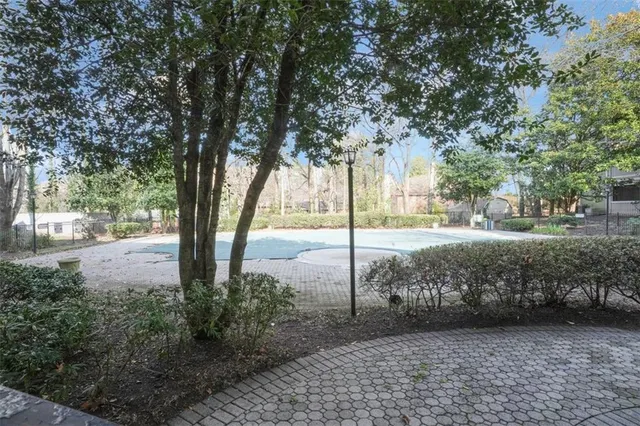 a view of a yard with plants and trees