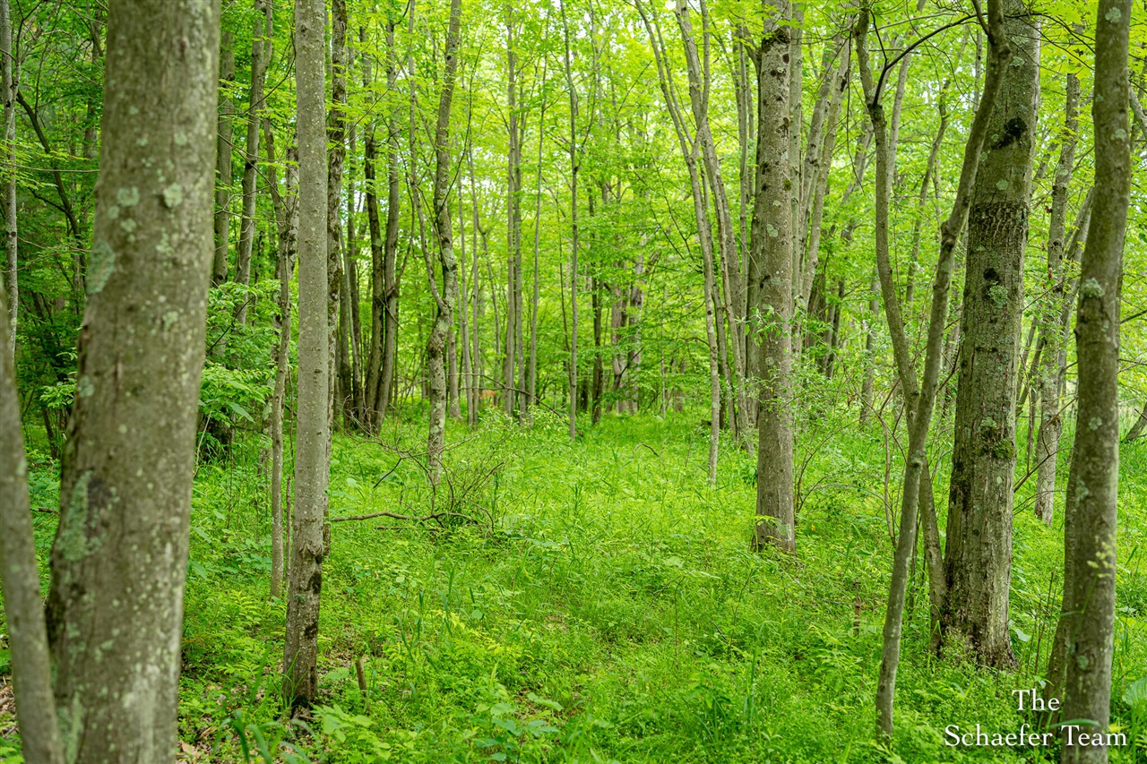 5227 Johnson Road Greenville, MI 48838 - Photo 13 of 33