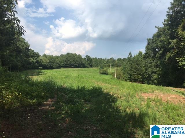 624 County Road, Unit 19 Woodland, AL 36280 - Photo 1 of 6