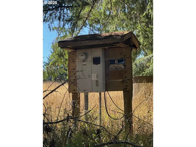 a view of a wooden door with a tree