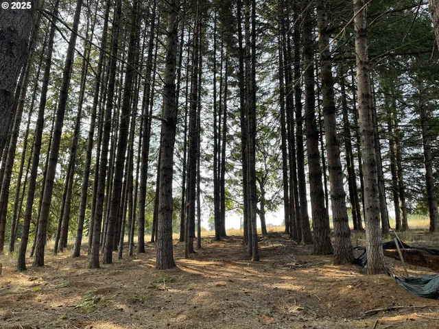 a view of outdoor space with deck