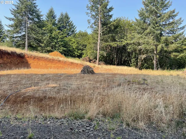 a view of a yard with trees in the background