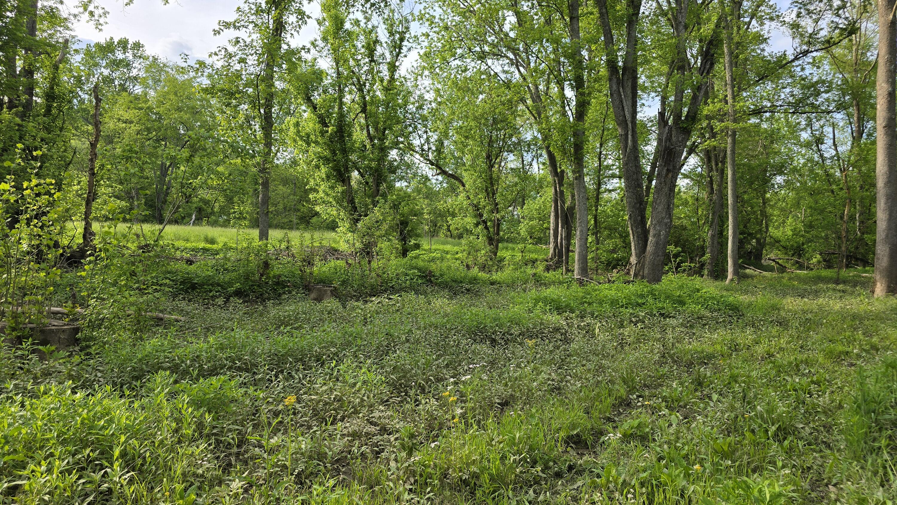 2 Folsom Jonesville Road Dry Ridge, KY 41035 - Photo 11 of 13