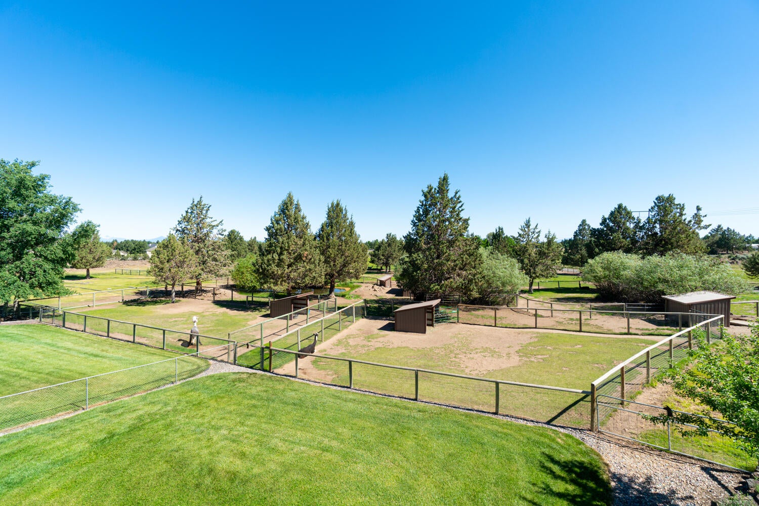 61542 Ward Road Bend, OR 97702 - Photo 48 of 65 Pastures.