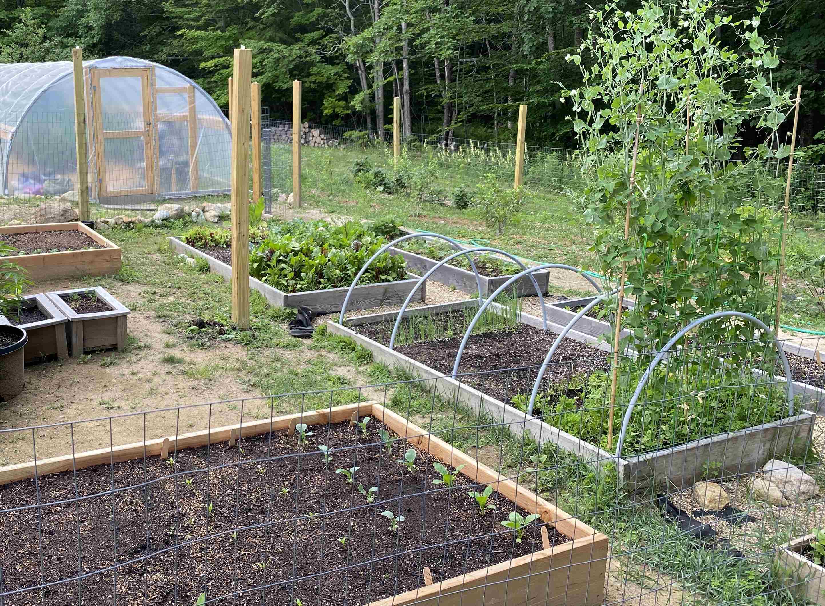 60 North Wakefield Road Wolfeboro, NH 03894 - Photo 23 of 28