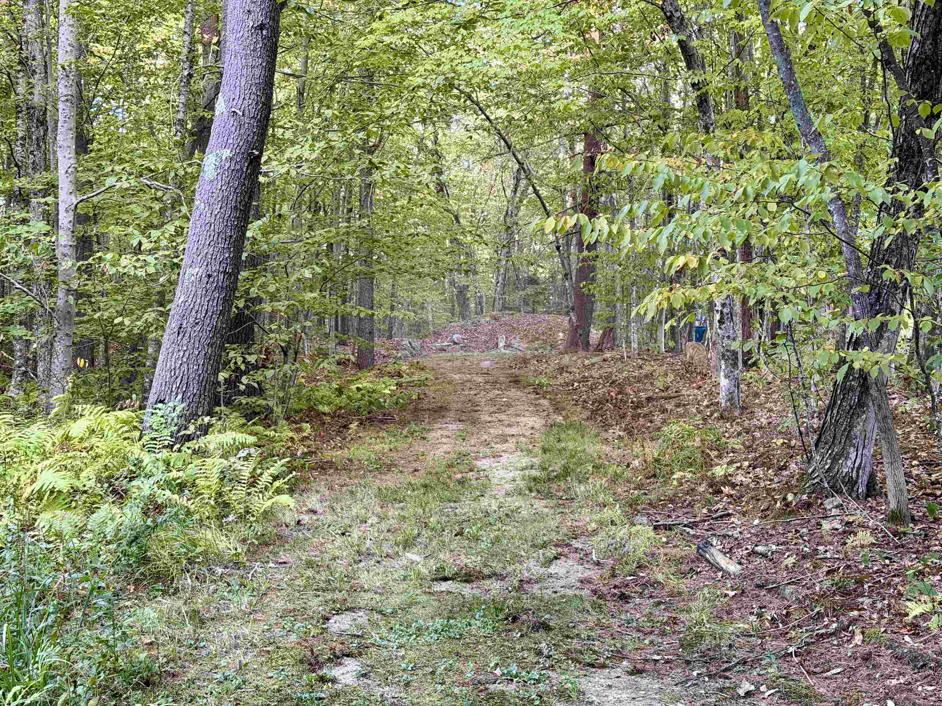 60 North Wakefield Road Wolfeboro, NH 03894 - Photo 26 of 28