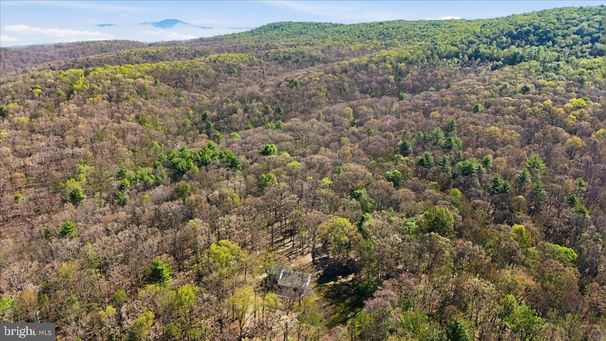 25 Fox Craft Court Springfield, WV 26763 - Photo 39 of 45