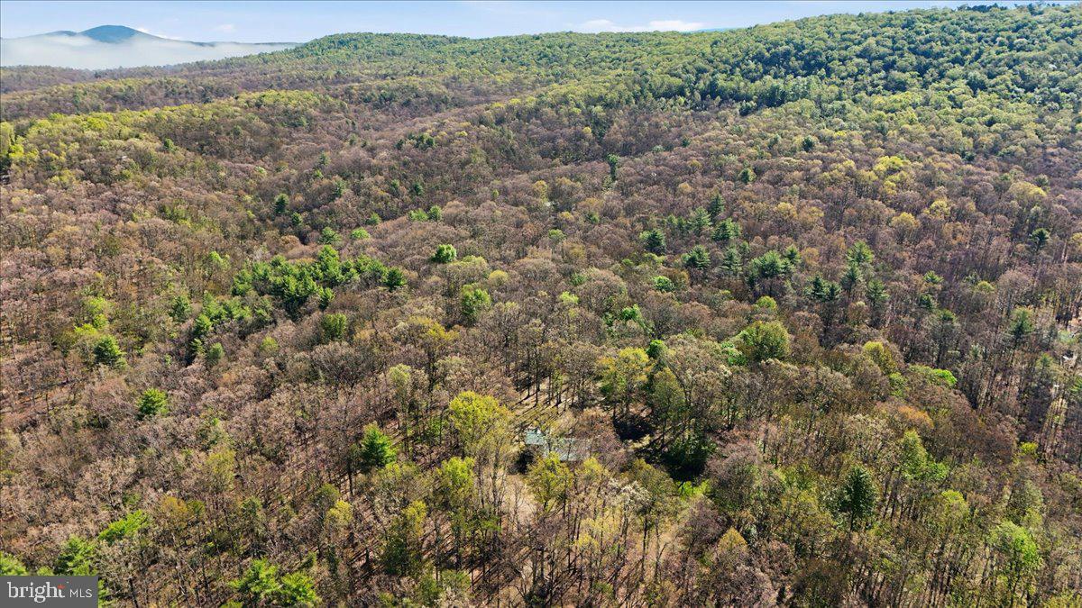 25 Fox Craft Court Springfield, WV 26763 - Photo 40 of 45