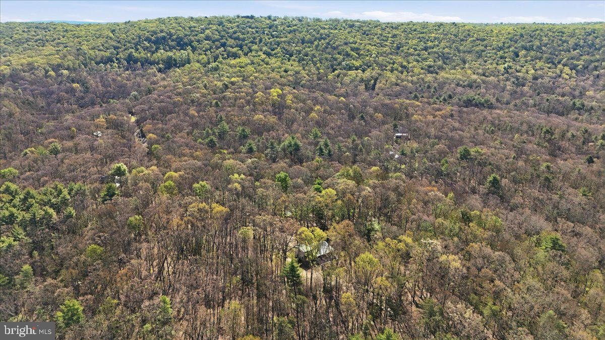 25 Fox Craft Court Springfield, WV 26763 - Photo 41 of 45