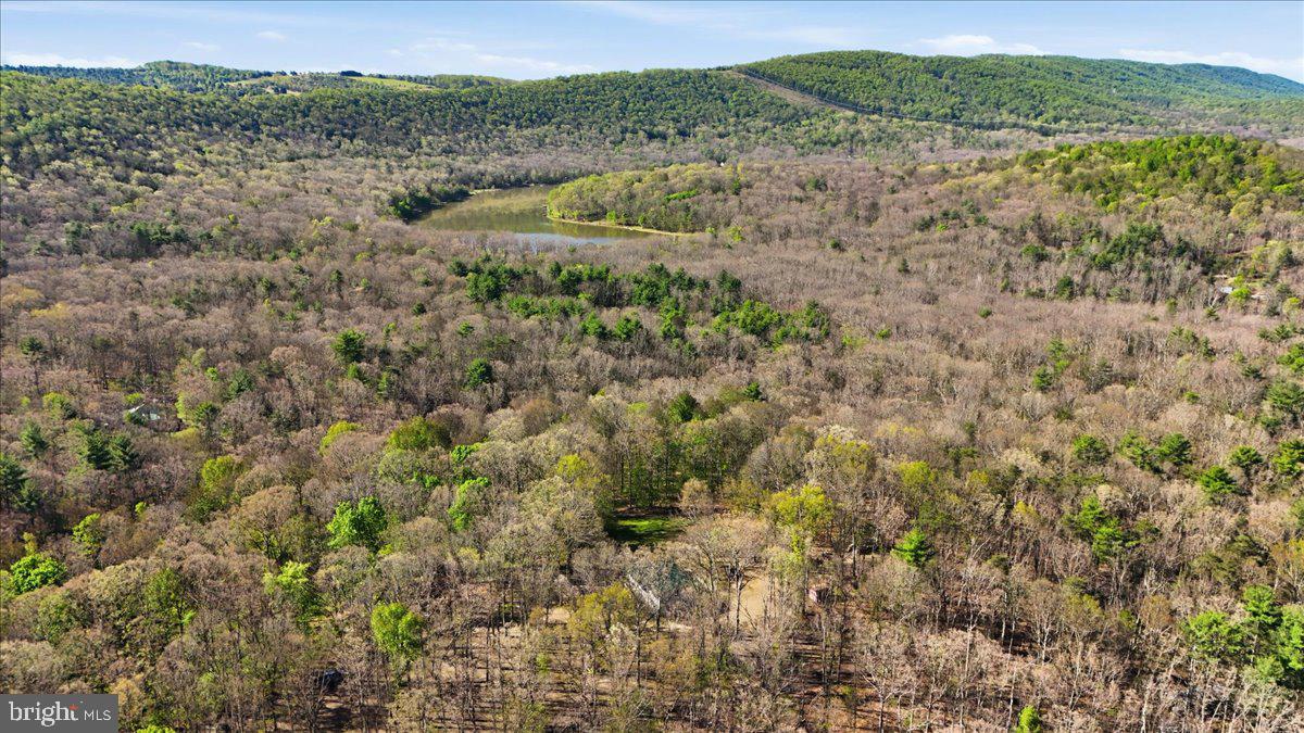 25 Fox Craft Court Springfield, WV 26763 - Photo 42 of 45