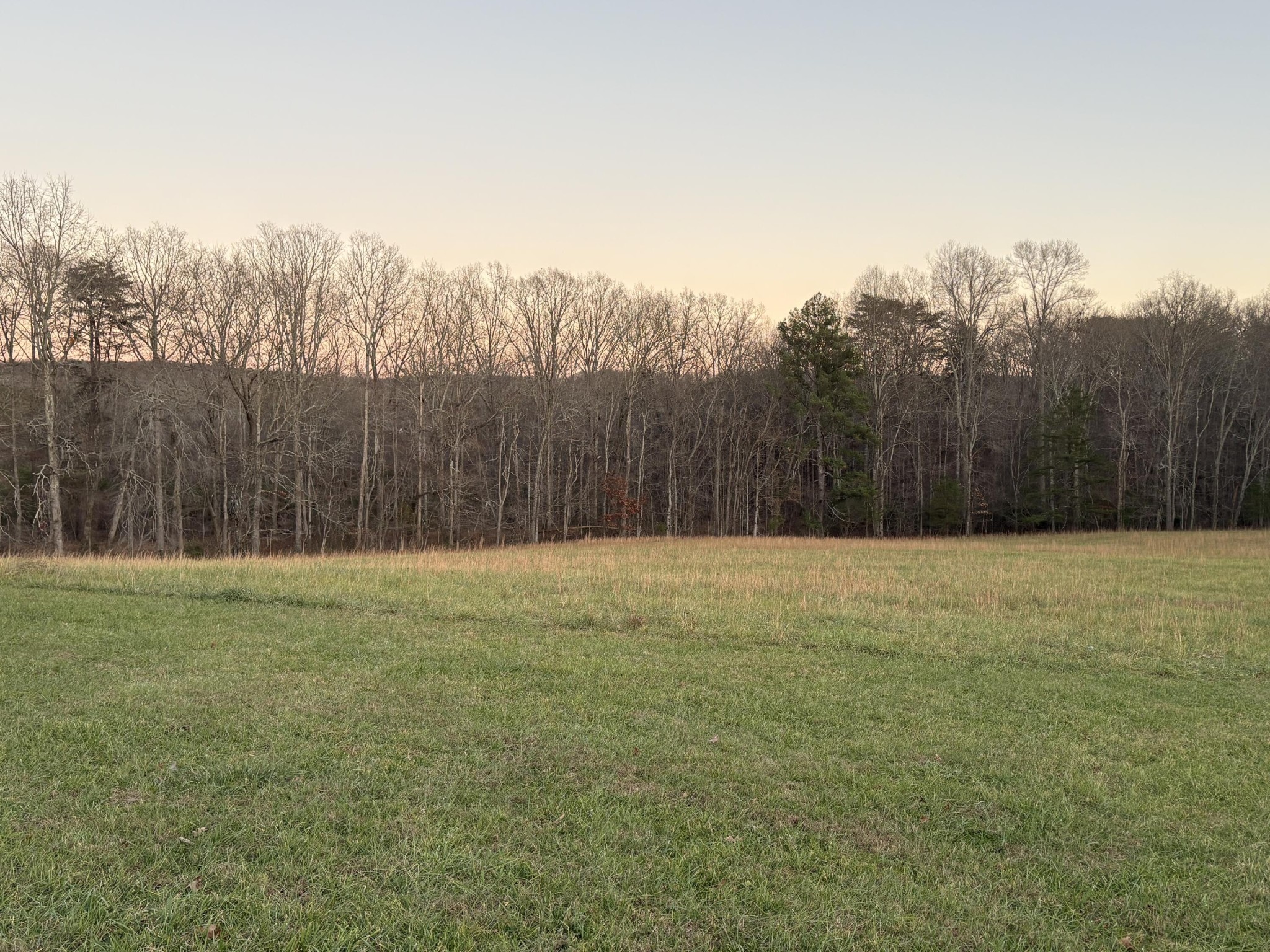 5146 Griffith Road Pikeville, TN 37367 - Photo 8 of 71 Gallery Image 8