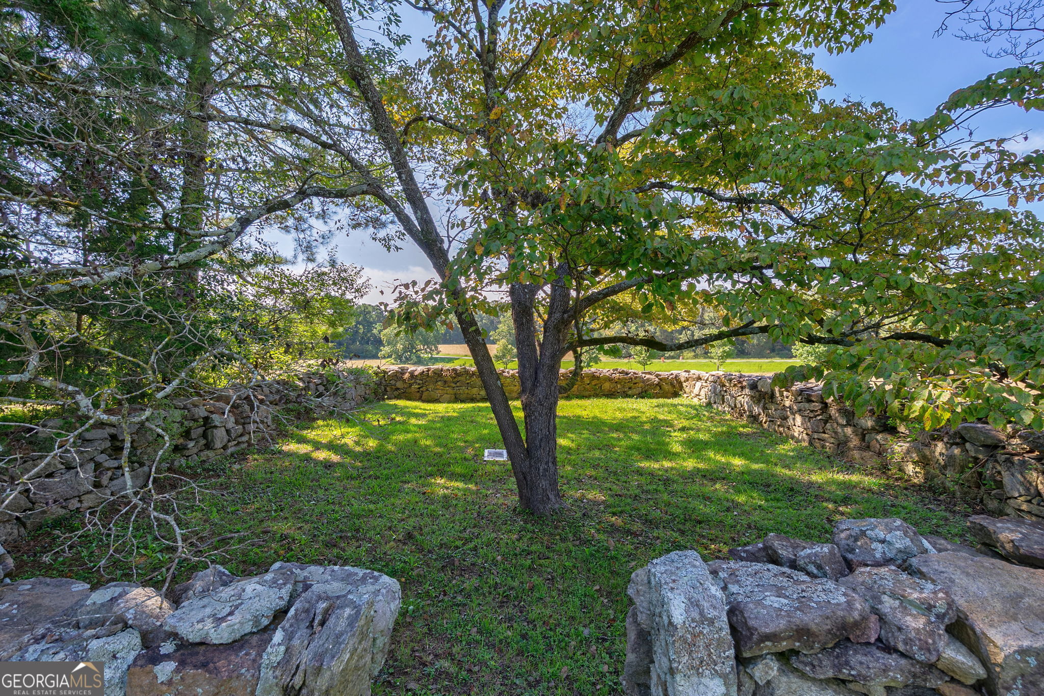 1761 Farmington Road Madison, GA 30650 - Photo 50 of 61 a view of backyard with outdoor seating and green space