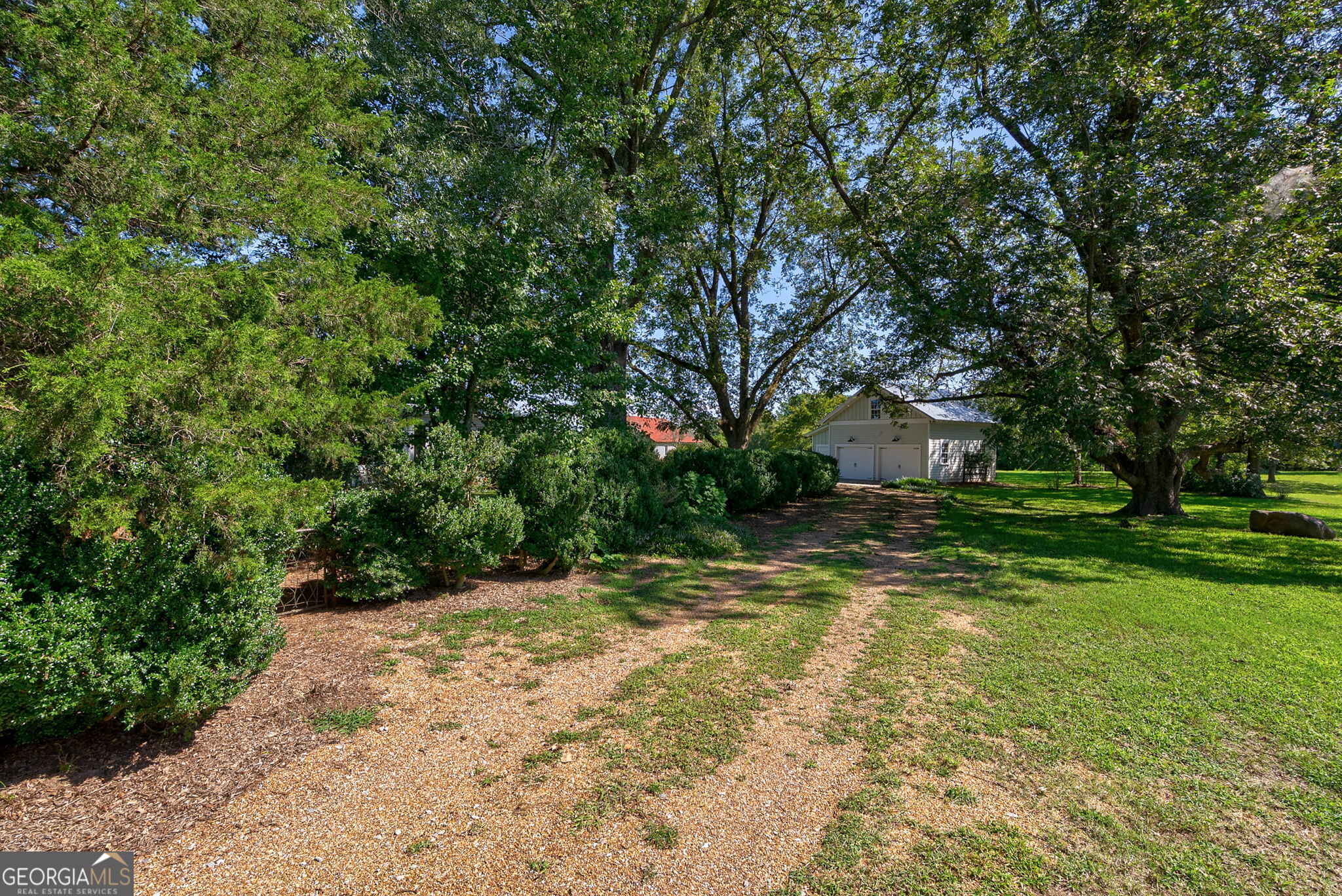 1761 Farmington Road Madison, GA 30650 - Photo 58 of 61 a view of a yard with plants and trees