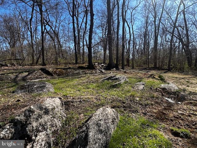 436 Summerville Road Boyce, VA 22620 - Photo 19 of 87 Perfect for Rock Gardens