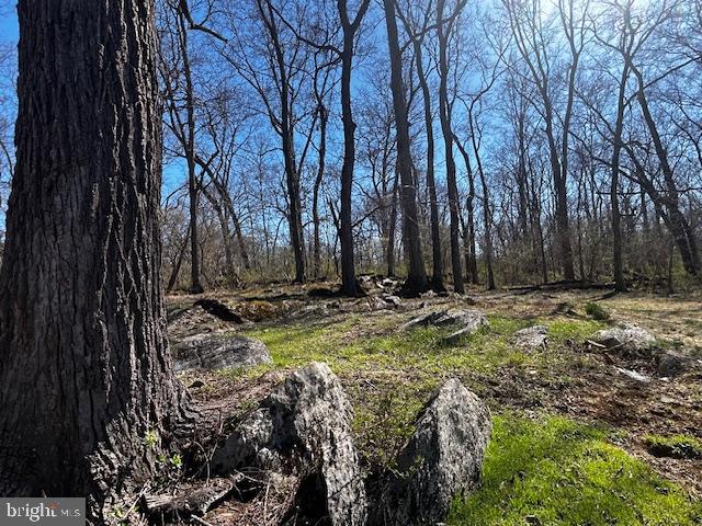 436 Summerville Road Boyce, VA 22620 - Photo 21 of 71