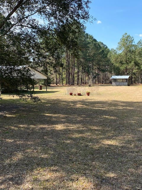 5279 Fiveash Road Hahira, GA 31632 - Photo 5 of 30 Gallery Image 5