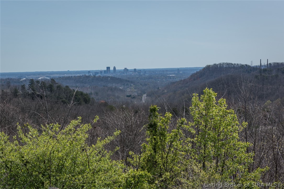 1011 Canyon Road New Albany, IN 47150 - Photo 4 of 85