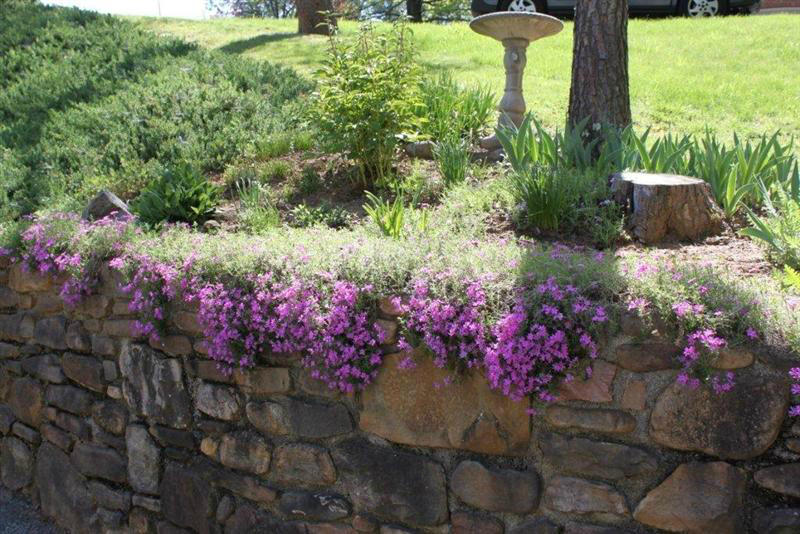 2385 Romar Road Salem, VA 24153 - Photo 39 of 43 42Front Garden