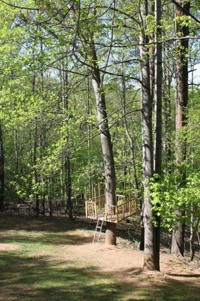 2385 Romar Road Salem, VA 24153 - Photo 42 of 43 45Tree House