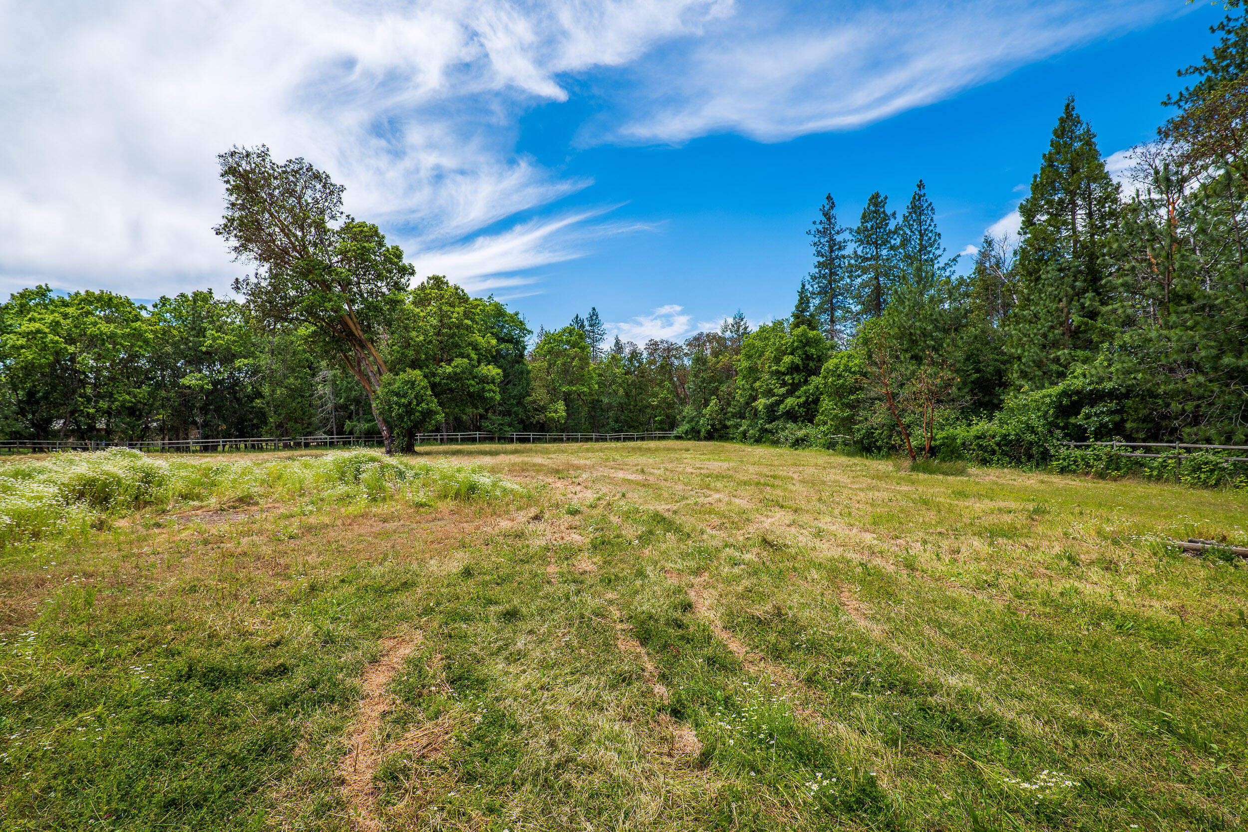 6801 Tunnel Loop Road Grants Pass, OR 97526 - Photo 37 of 40 a view of a yard with a house in the background