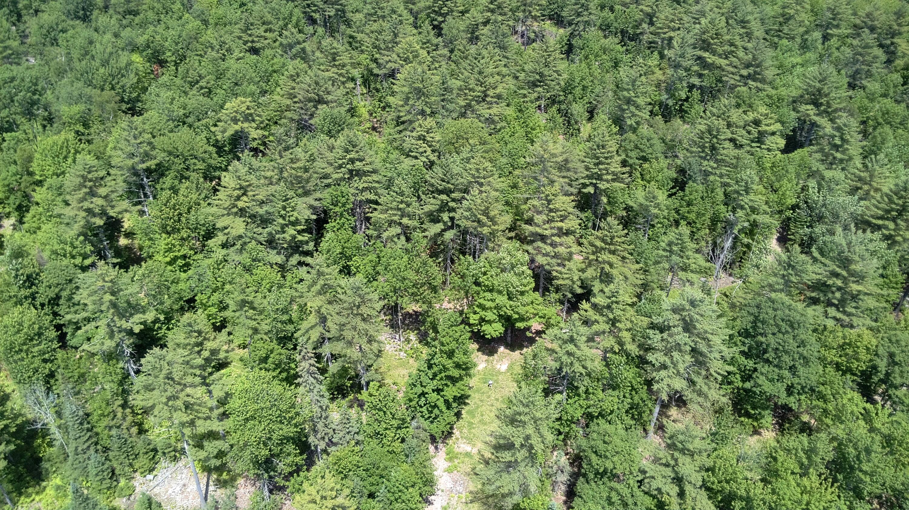 5 Fickett Road Etna, ME 04434 - Photo 19 of 23