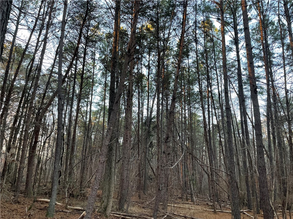 0 Mt Nebo Church Road Honea Path, SC 29654 - Photo 2 of 5