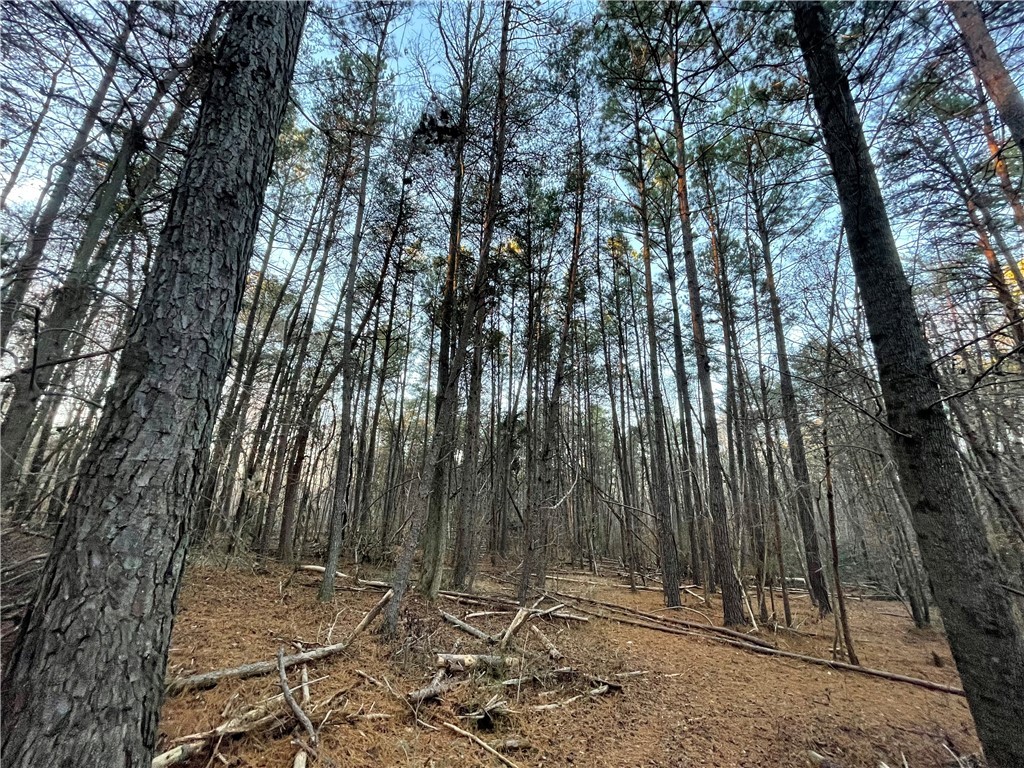0 Mt Nebo Church Road Honea Path, SC 29654 - Photo 3 of 5