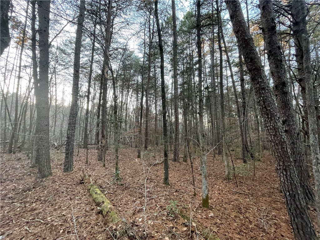 0 Mt Nebo Church Road Honea Path, SC 29654 - Photo 4 of 5