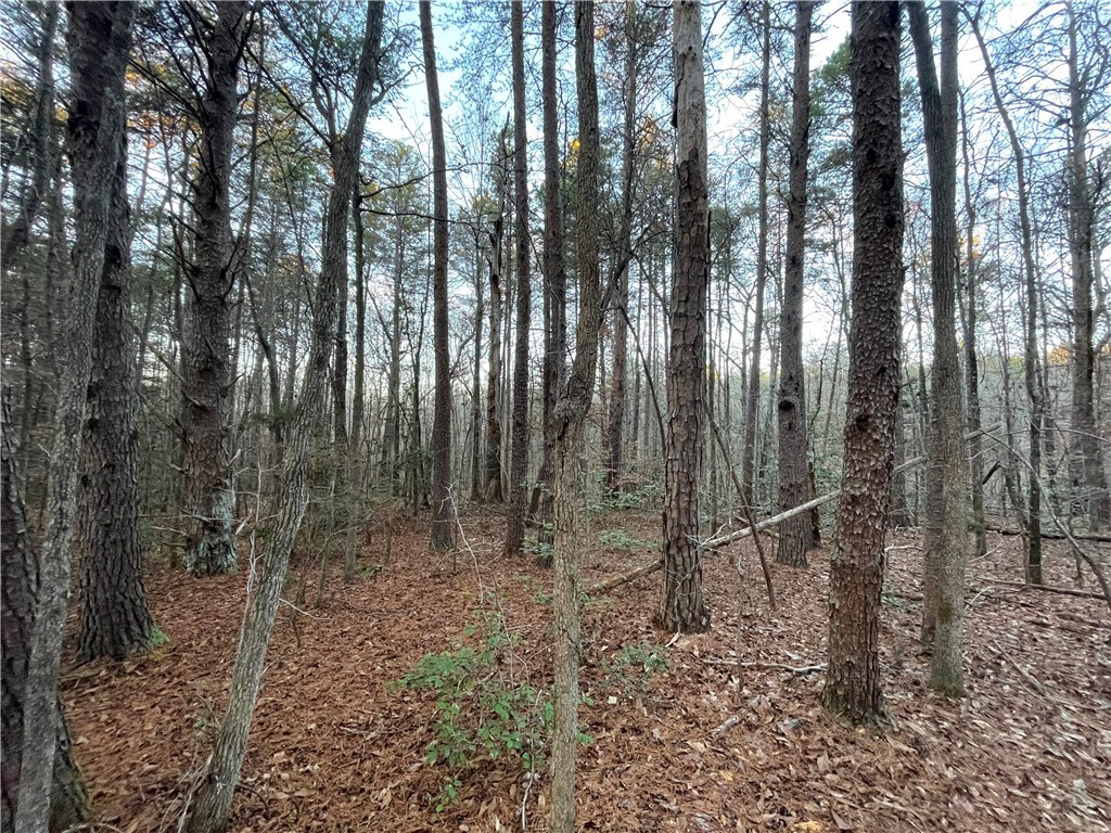 0 Mt Nebo Church Road Honea Path, SC 29654 - Photo 5 of 5