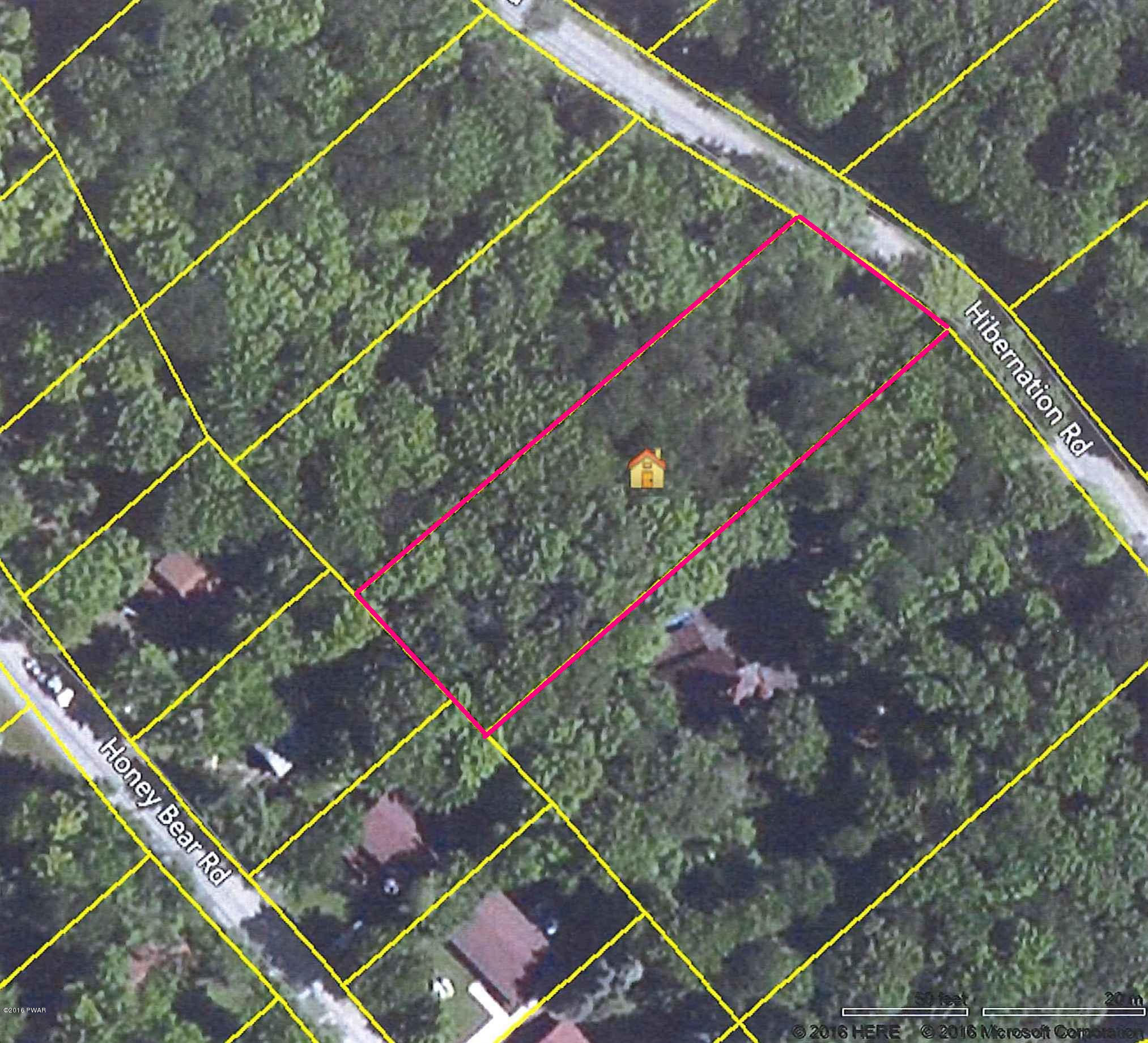 927 Hibernation Road Lake Ariel, PA 18436 - Photo 10 of 14