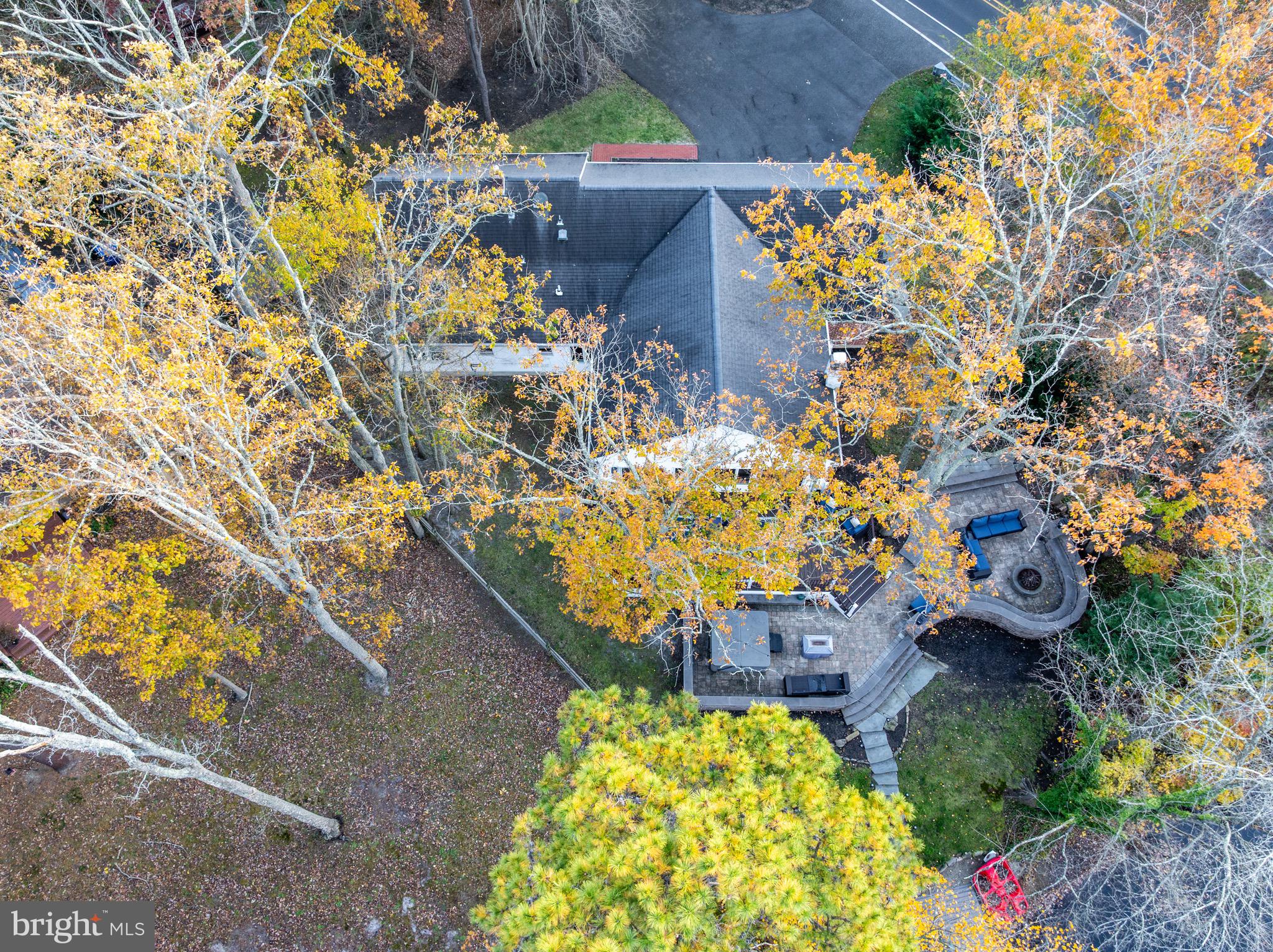 155 Tuckerton Road Medford Lakes, NJ 08055 - Photo 44 of 48 a picture of flowers