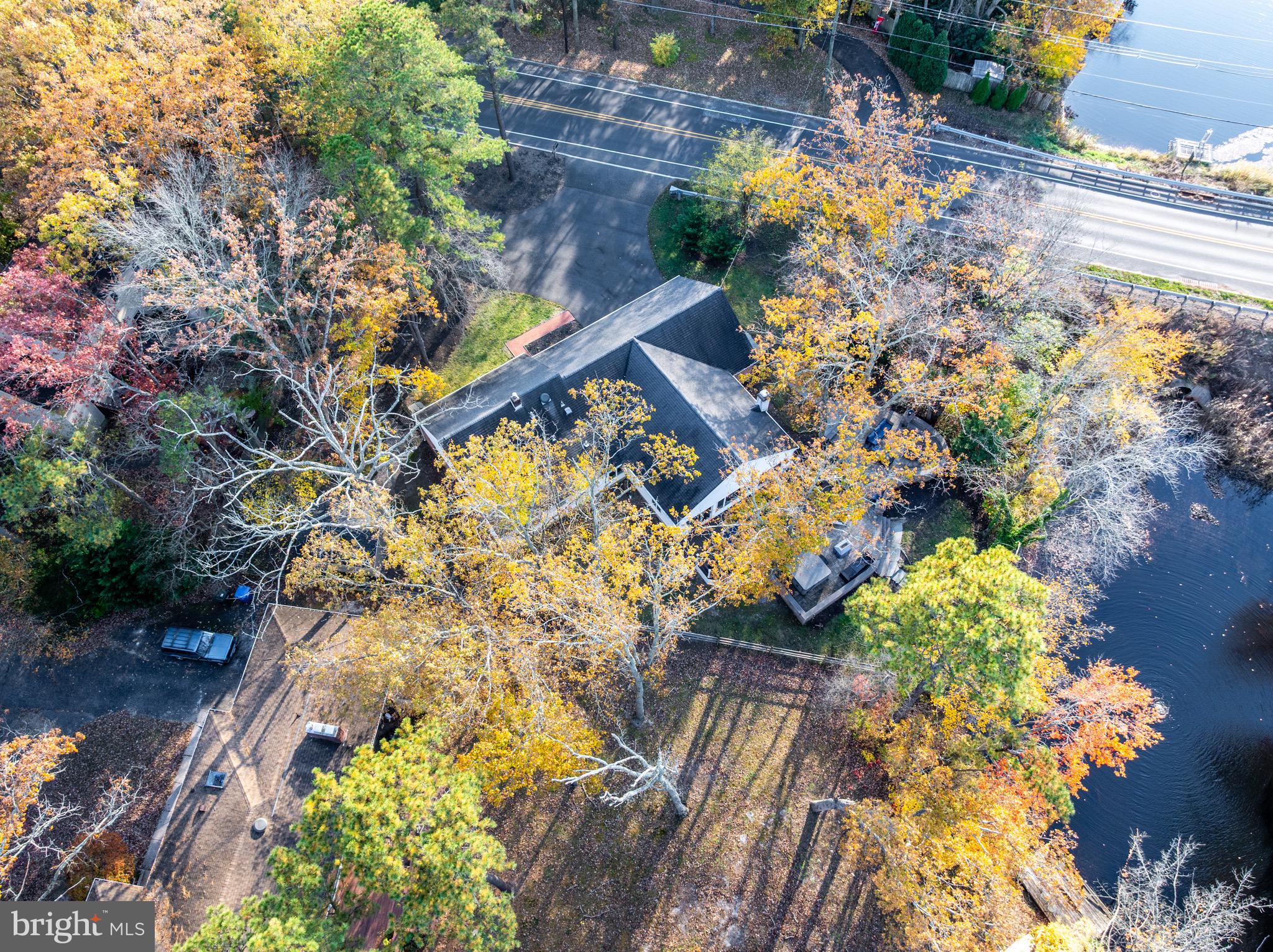 155 Tuckerton Road Medford Lakes, NJ 08055 - Photo 47 of 48 a picture of flowers