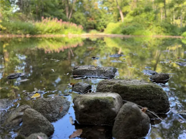 $49,500 | Rt-90, Genoa, NY 13071