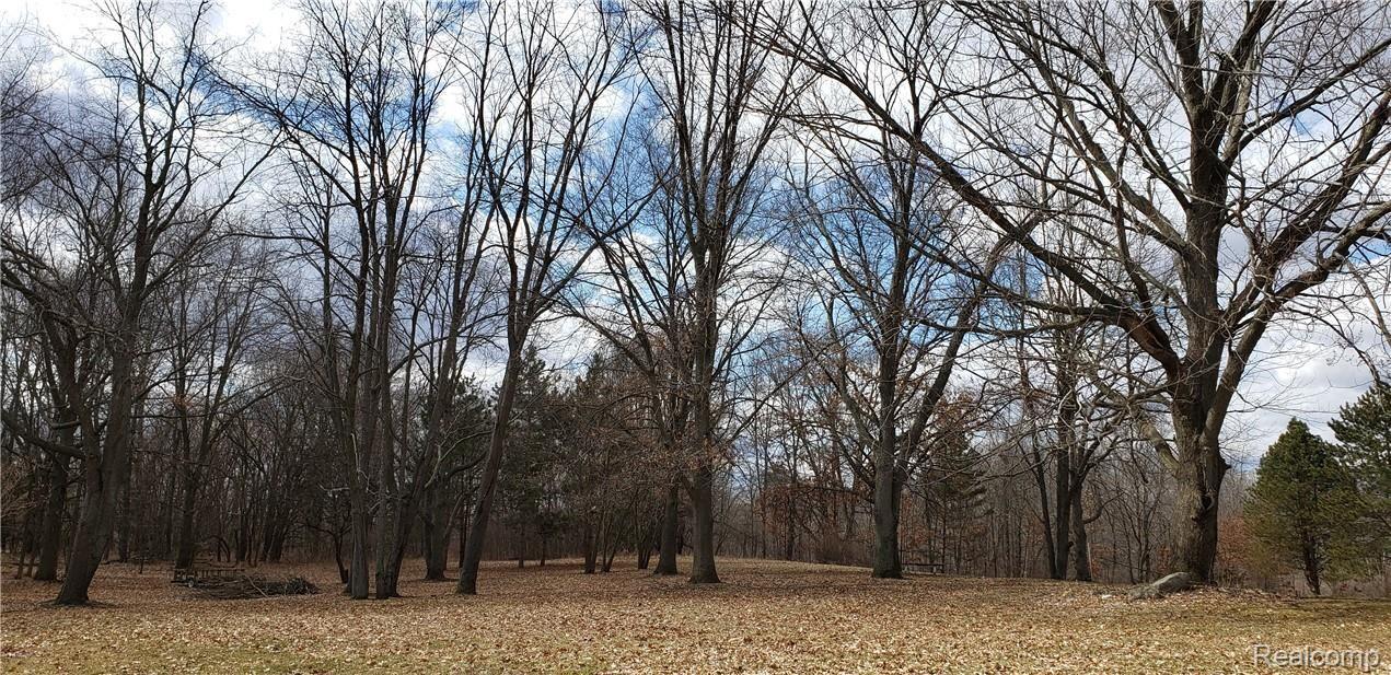 8417 Antcliff Road Howell, MI 48855 - Photo 6 of 19 Beautiful wooded property with plenty of open space to roam!